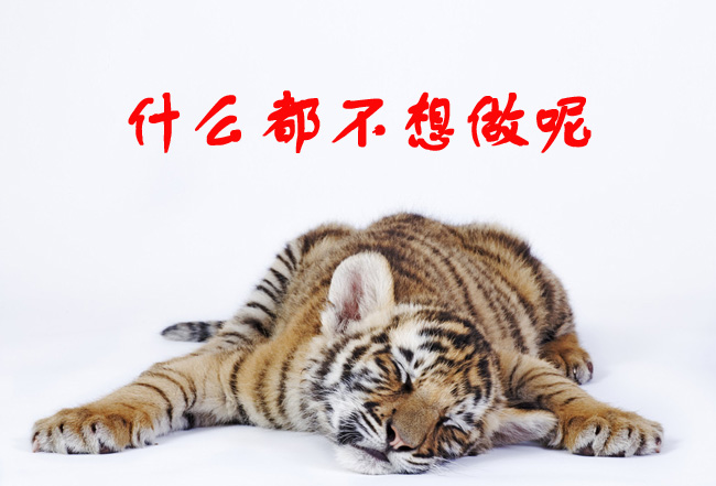 想偷懶都偷不成